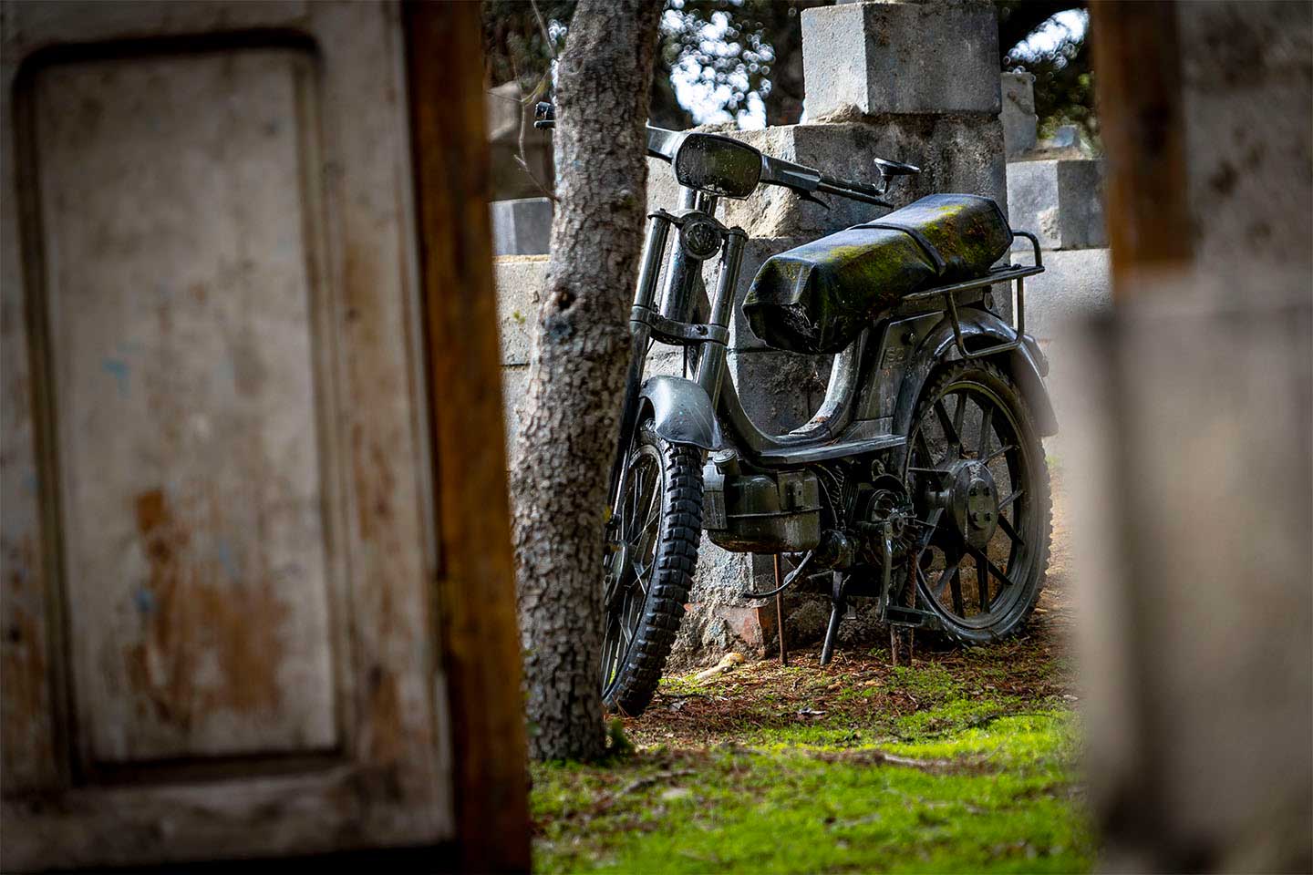 Paintball Toro vespino